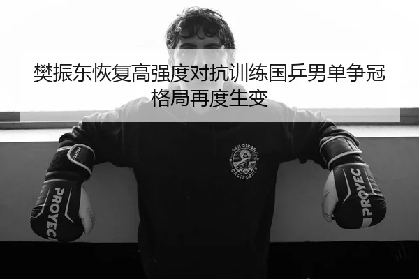 樊振东恢复高强度对抗训练国乒男单争冠格局再度生变